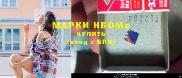 прущие грибы Абинск
