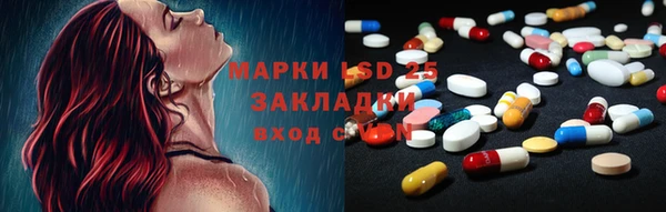 прущие грибы Абинск