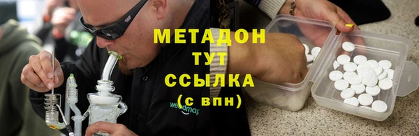 прущие грибы Абинск