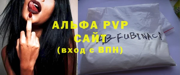 прущие грибы Абинск
