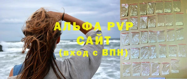 прущие грибы Абинск