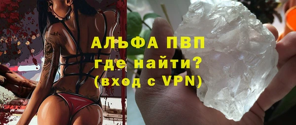 прущие грибы Абинск