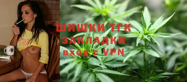 прущие грибы Абинск