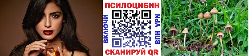 Псилоцибиновые грибы ЛСД  mega как войти  Райчихинск 