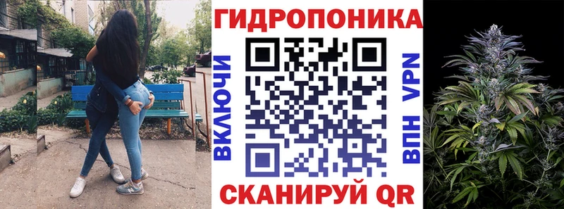 Бошки Шишки THC 21% Райчихинск